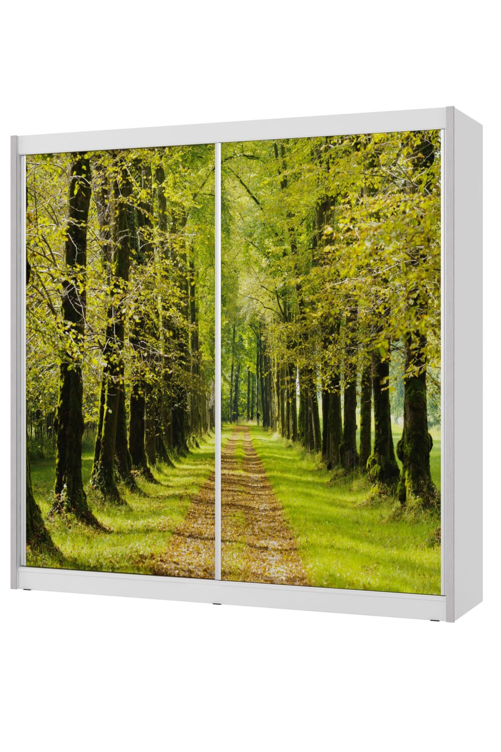 ארון הזזה 2 דלתות דגם - אריזונה