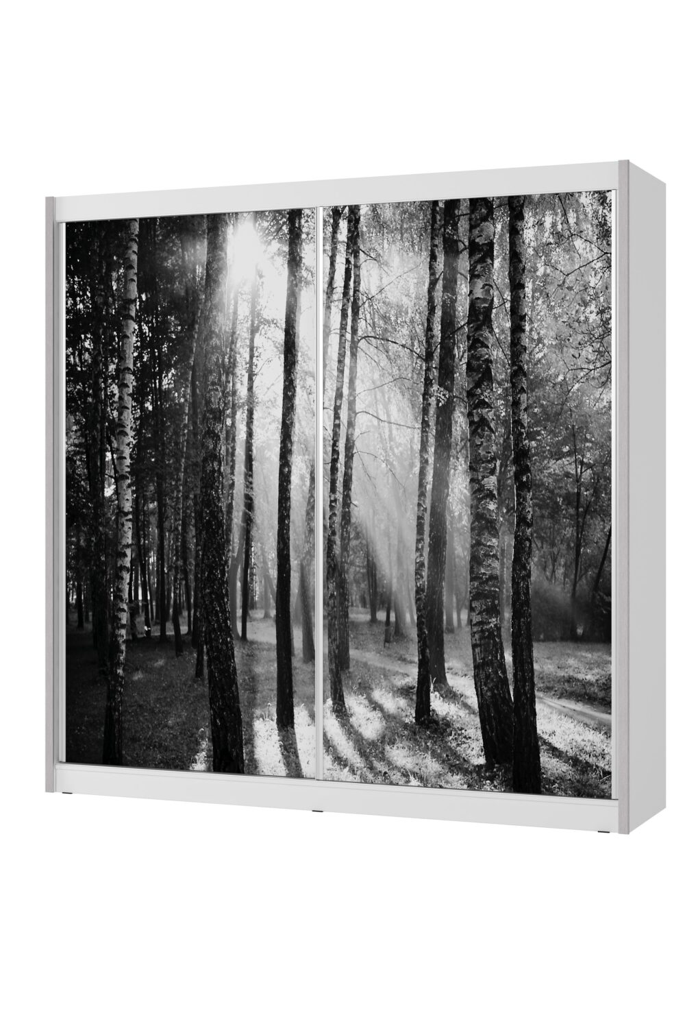 ארון הזזה 2 דלתות דגם - קולורדו